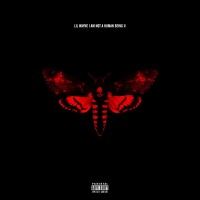 Lil_Wayne_Album-Cover