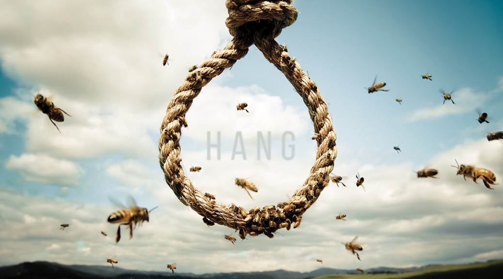 Lagwagon mit neume Album "Hang"