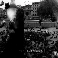 The Amazing - Picture You Single