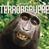 TERRORGRUPPE kündigt neue Platte für Januar 2016 an