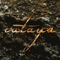 CATAYA - Sukzession